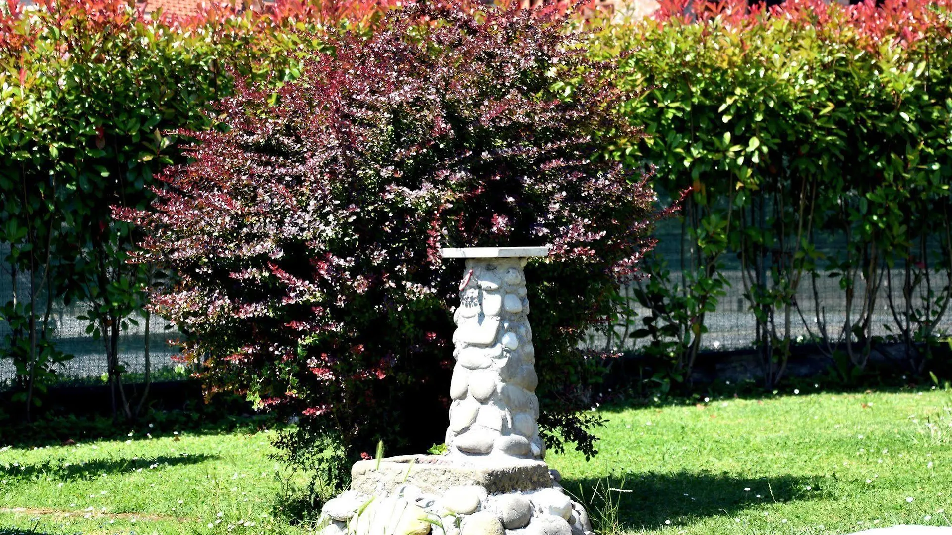 Bed & Breakfast B&B Il Giardino Dei Poeti And Apartaments Lucca